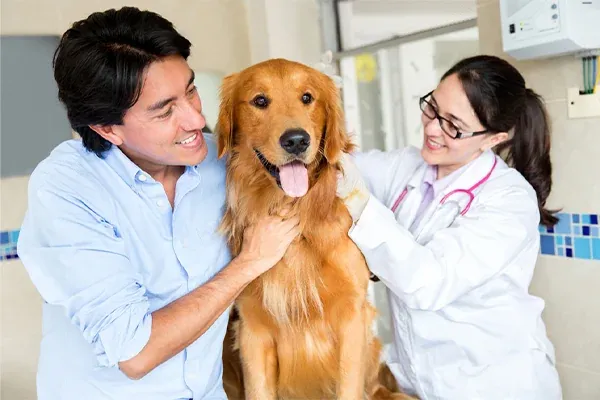 Common Health Conditions among Pets | Blog Post