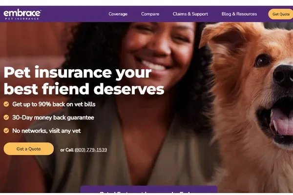 Embrace Review | Blog Post