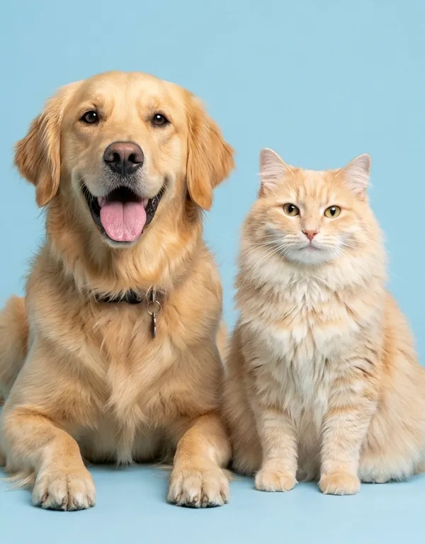 Happy dog and cat protected by Embrace