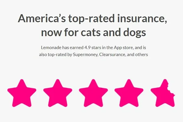 Lemonade Pet Insurance Policy Details