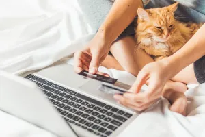 What To Consider Before Buying One? | Article Thumbnail