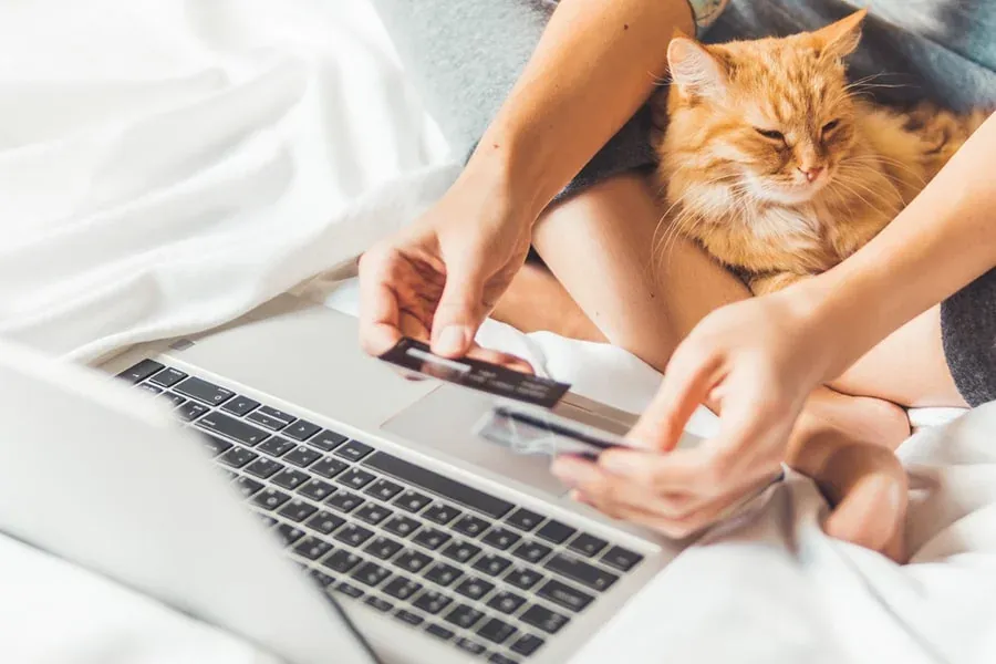 What To Consider Before Buying One? | Blog Post